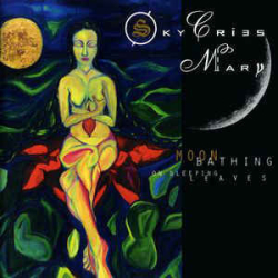: Sky Cries Mary - Discography 1989-2020 - UL