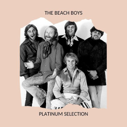 : The Beach Boys - Platinum Selection (2020)