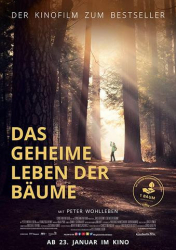 : Das geheime Leben der Baeume 2020 German Doku Dl 1080p BluRay x264-Pl3X