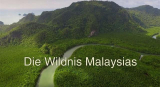 : Die Wildnis Malaysias German Doku 720p Hdtv x264-Tmsf