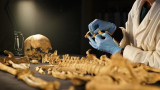 : Aufgedeckt Raetsel der Geschichte Die Skelette von York German Doku Hdtvrip x264-Tmsf