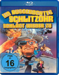 : Das ausgekochte Schlitzohr 3 1983 German 720p BluRay x264-SpiCy
