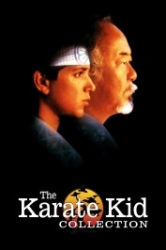 : Karate Kid Movie Collection (5 Filme) German AC3 microHD x264 - RAIST