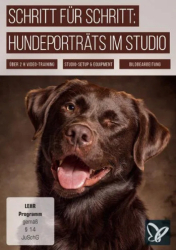 : PSD Tutorials Hundeportraets im Studio