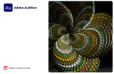 : Adobe Audition 2021 v14.1.0.43 (x64)