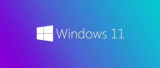 : Windows 11 Pro 21H2 10.0.22000.318 (x64)