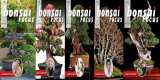 : Bonsai Focus Magazine No 01, 02, 03, 04, 06 2021
