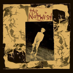 : The Notwist - The Notwist (30 Year Anniversary Remaster 2021) (2021)