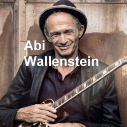 : Abi Wallenstein - Sammlung (5 Alben) (2011-2020)