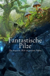 : Fantastische Pilze Die magische Welt zu unseren Fuessen 2019 Doku German Dl 720p BluRay x264-SpiRiTbox