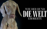 : Wie die Katze die Welt eroberte German Doku 720p Hdtv x264-Pumuck