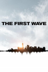 : The First Wave 2021 German Dl Eac3 Doku 720p Dsnp Web H264-ZeroTwo
