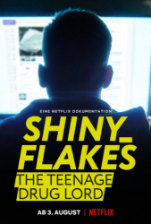 : Shiny Flakes The Teenage Drug Lord 2021 German DOKU 720P WebHD X264-GWD