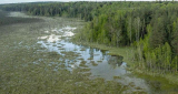 : Sumpfland Taiga - Das Berezinsky Biosphaerenreservat German Doku 720p Hdtv x264-Pumuck