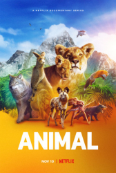: Animal 2021 S02 German Dl Doku 1080p Web H264-ZeroTwo