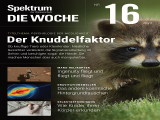 : Spektrum der Wissenschaft Die Woche Magazin Nr 16 vom Nr 21. April 2022