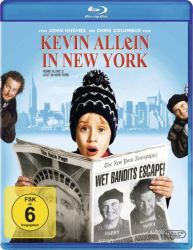: Kevin Allein in New York 1992 German Dts Dl 1080p BluRay x264-Mba
