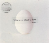 : Wilco - A Ghost Is Born (Limited Edition) (2005)