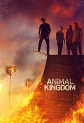 : Animal Kingdom S06E02 German 720P Web X264-Wayne