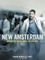 : New Amsterdam Staffel 2 2018 German AC3 microHD x264 - RAIST  