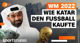 : Geheimsache Katar Wie ein Land den Fussball kaufte 2022 German Doku Hdtvrip x264-Tmsf