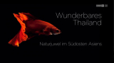 : Wunderbares Thailand Naturjuwel im Suedosten Asiens 2017 German Doku Hdtvrip x264-Tmsf