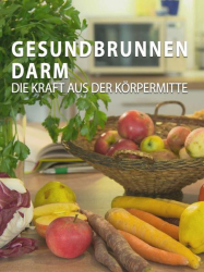 : Gesundbrunnen Darm Die Kraft aus der Koerpermitte 2018 German Doku 1080p WebHd h264-LiTterarum