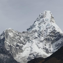 : Glåsbird - Himalaya (2022)