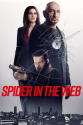 : Spider in the Web 2019 German Ac3 1080p BluRay x265-Gtf