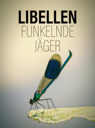 : Libellen - Funkelnde Jaeger German Dl Doku 720p Hdtv x264-Pumuck
