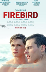 : Firebird 2021 German 1080p BluRay x264-wYyye