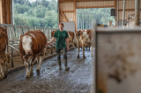 : Die Bauernhof-Retterin - Betriebshelferin Chiara hilft Landwirten in Not German Doku 720p Webrip x264-Tvknow