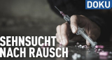 : Sehnsucht nach Rausch - Drogen und ihre Folgen German Doku 720p WebHd h264-Wys