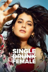 : Single Drunk Female S02E02 German Dl 720p Web h264-WvF