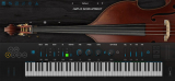 : Ample Sound Ample Bass Upright v3.6 macOS