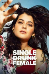 : Single Drunk Female S02E04 German Dl 720p Web h264-WvF
