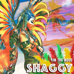 : Shaggy - In The Mood (2023)