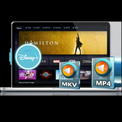 : Pazu. DisneyPlus Video Downloader v1.4.1