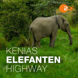 : Kenias Elefanten - Highway 2016 German Doku 1080P WebHd H264-Gwd