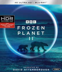 : Frozen Planet Ii - Eisige Welten 2022 German 1080i Dl Dtshd BluRay Avc Remux-pmHd