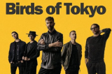 : Birds Of Tokyo - Sammlung (08 Alben) (2007-2020)