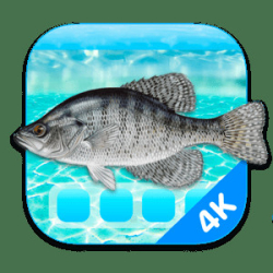 : Aquarium 4K - Live Wallpaper 1.0.5 macOS  