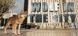 : Wolf In The City-Tenoke