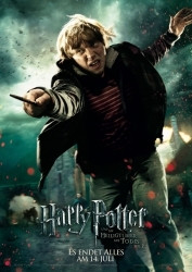 : Harry Potter und die Heiligtümer des Todes Teil 2 2011 German 1600p AC3 micro4K x265 - RACOON