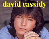 : David Cassidy - Sammlung (17 Alben) (1972-2014)