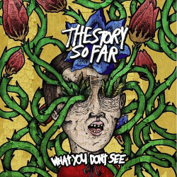 : The Story So Far - What You Don't See (2013)