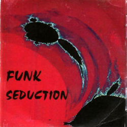 : Funk Seduction Vol.01-12 (12 Alben) (2024)