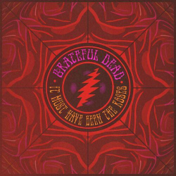 : Grateful Dead - It Must Have Been the Roses (2024)