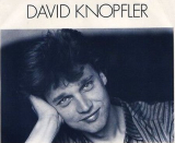 : David Knopfler - Sammlung (20 Alben) (1983-2021)