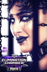: WWE Elimination Chamber 2024 720p WEB h264-HEEL